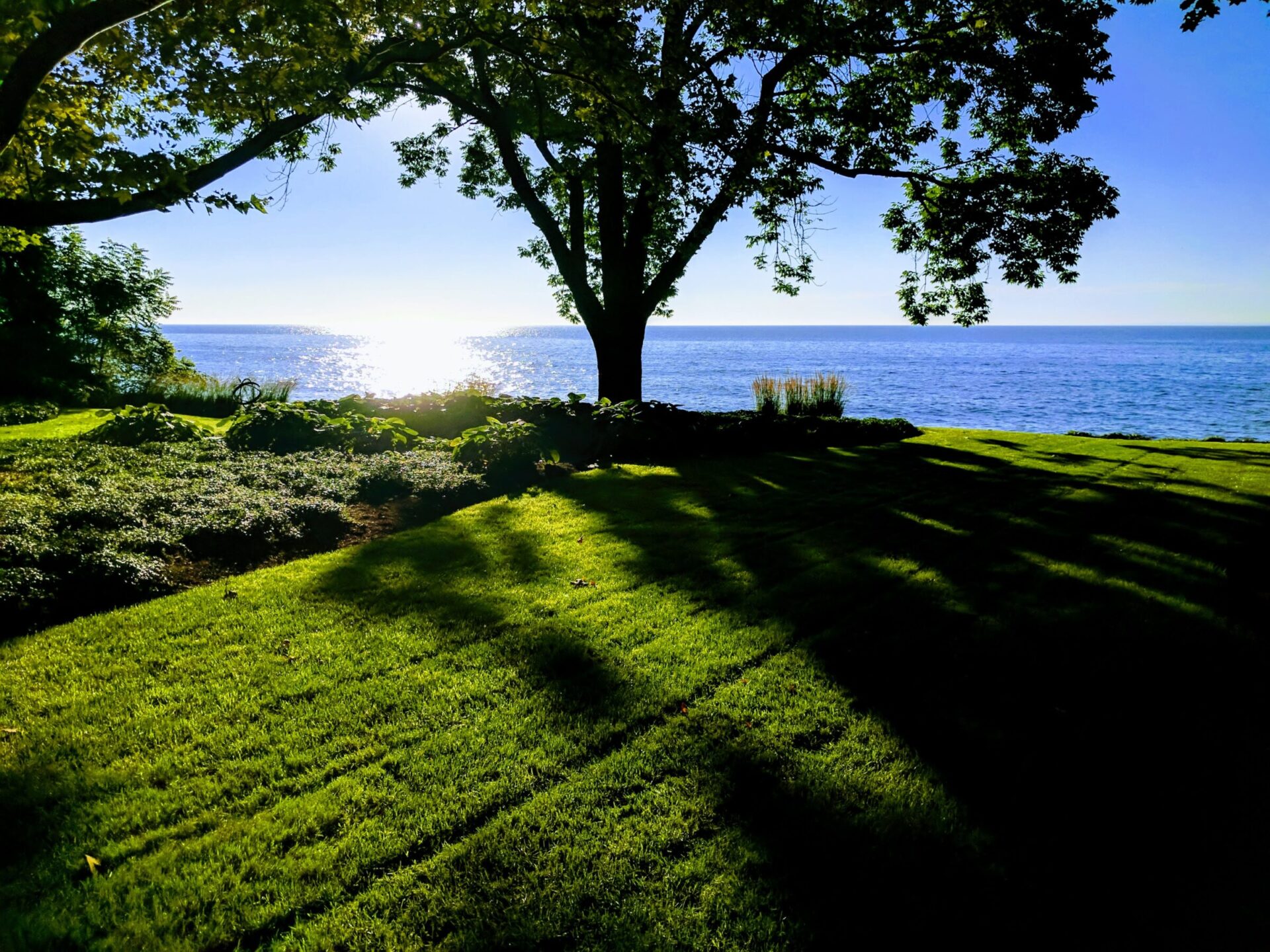 A serene lakeside scene with lush green grass, a large tree casting shadows, bright sunlight reflecting off the water, and a clear blue sky.