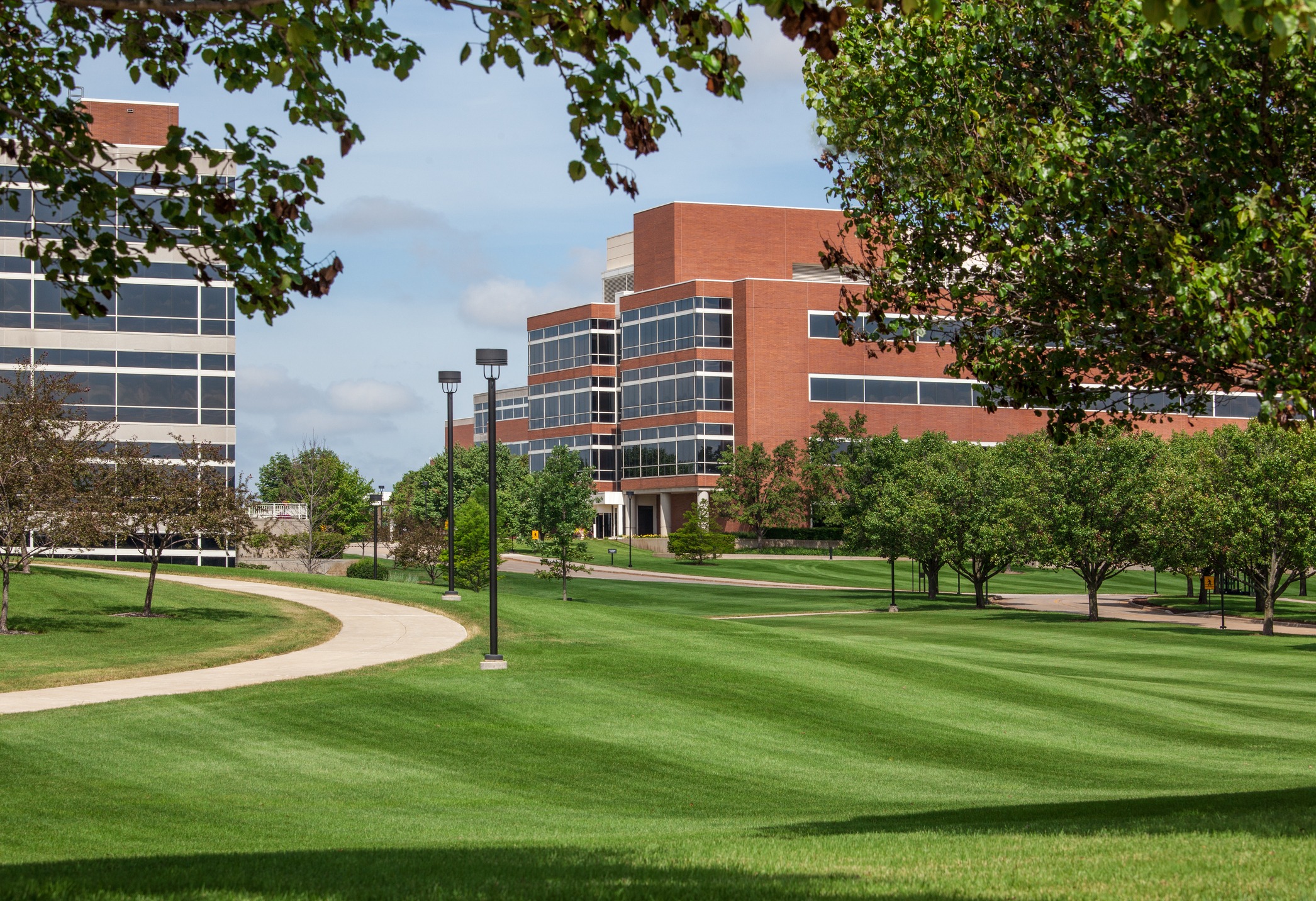 A campus scene with modern buildings, lush green lawns, and a curved pathway, under a clear blue sky with scattered clouds and leafy trees.