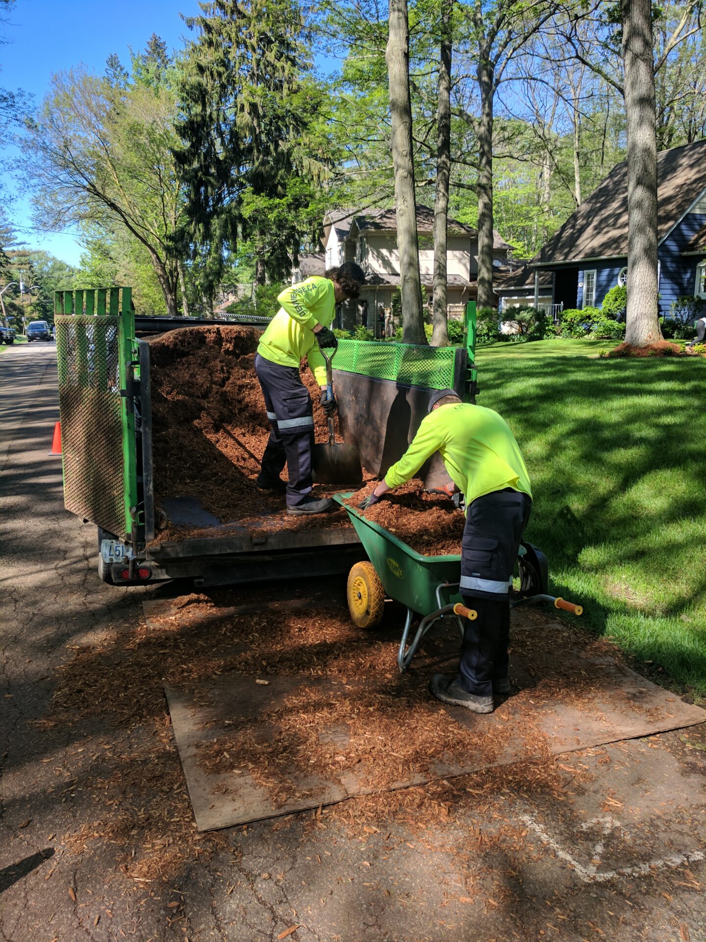 Two people are shoveling mulch from a trailer onto a wheelbarrow on a sunny day, wearing reflective safety vests and gloves, near trees and a house.