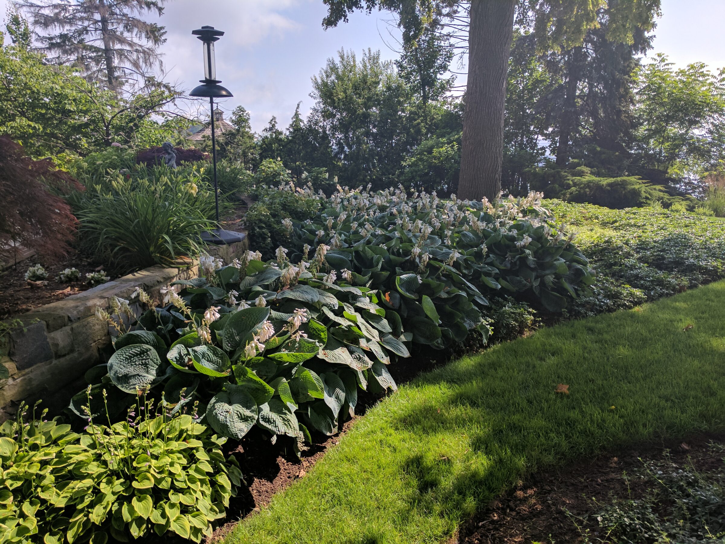A well-maintained garden with lush greenery, blooming hostas, assorted plants, a bird feeder, and trees under a bright sunny sky.