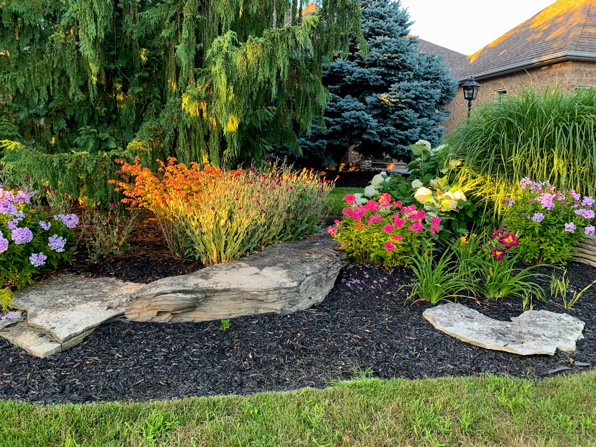 A well-manicured garden with colorful flowers, lush greenery, large stones, and mulch, set against a backdrop of evergreen trees and a building.