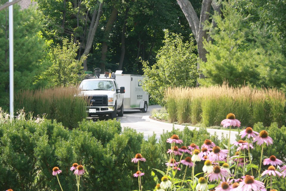 A commercial truck is parked amidst lush greenery with pink coneflowers in the foreground. The setting appears to be a well-maintained garden or park.