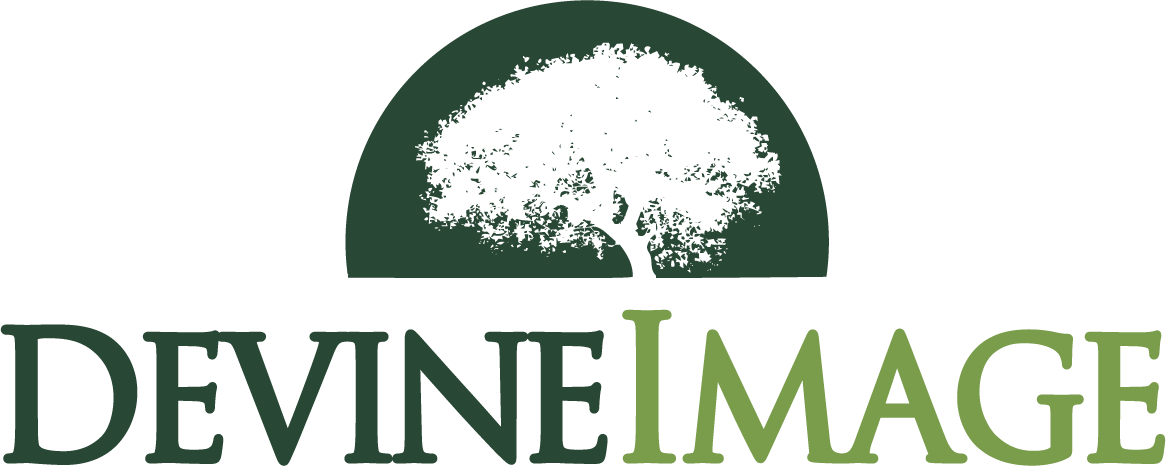 The image displays the logo "DEVINE IMAGE," in green, featuring an arch with a stylized tree graphic, using a minimalist and elegant design.