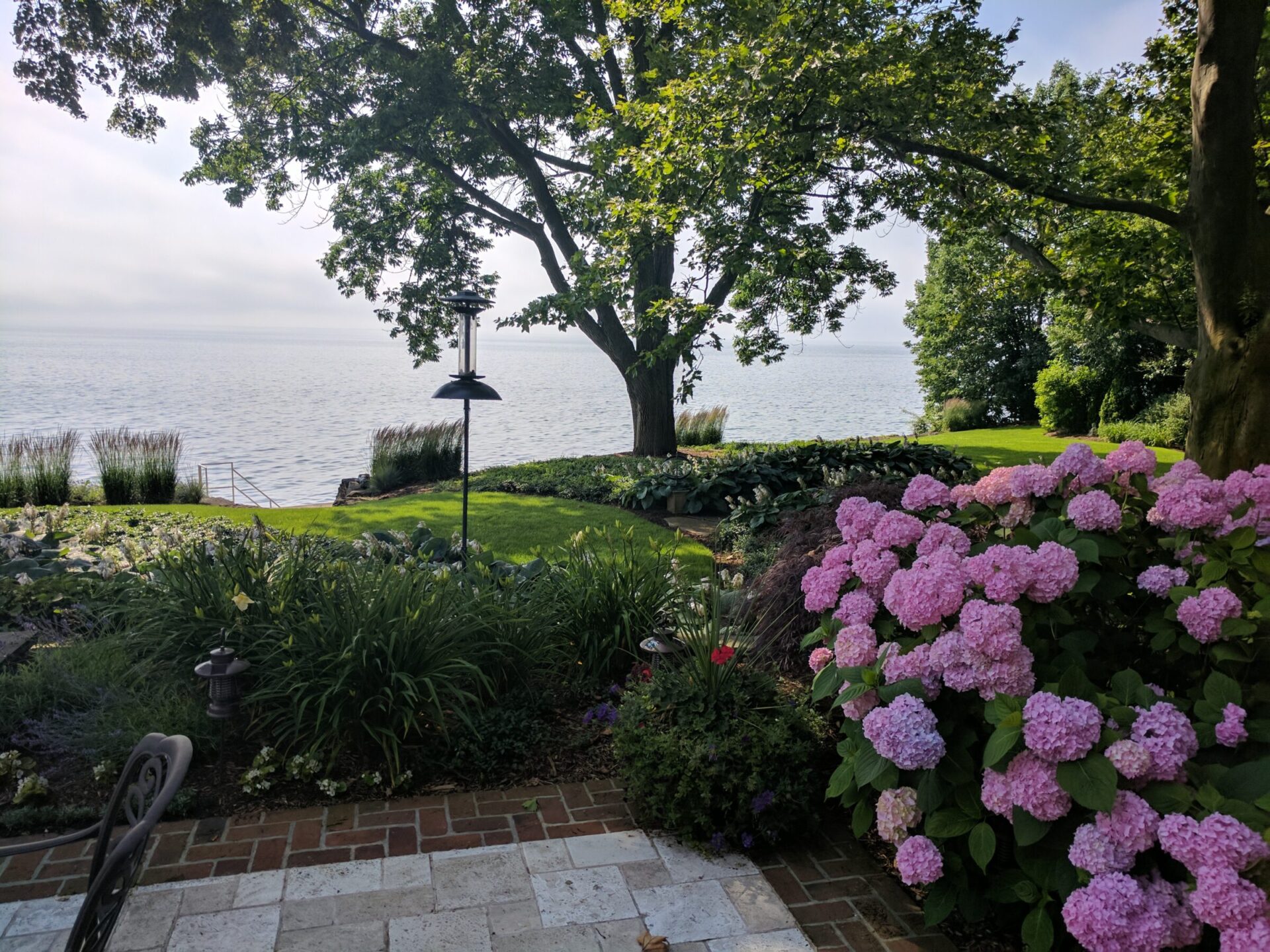 A tranquil garden overlooking a calm body of water, with lush pink hydrangeas in the foreground and green trees framing the serene view.