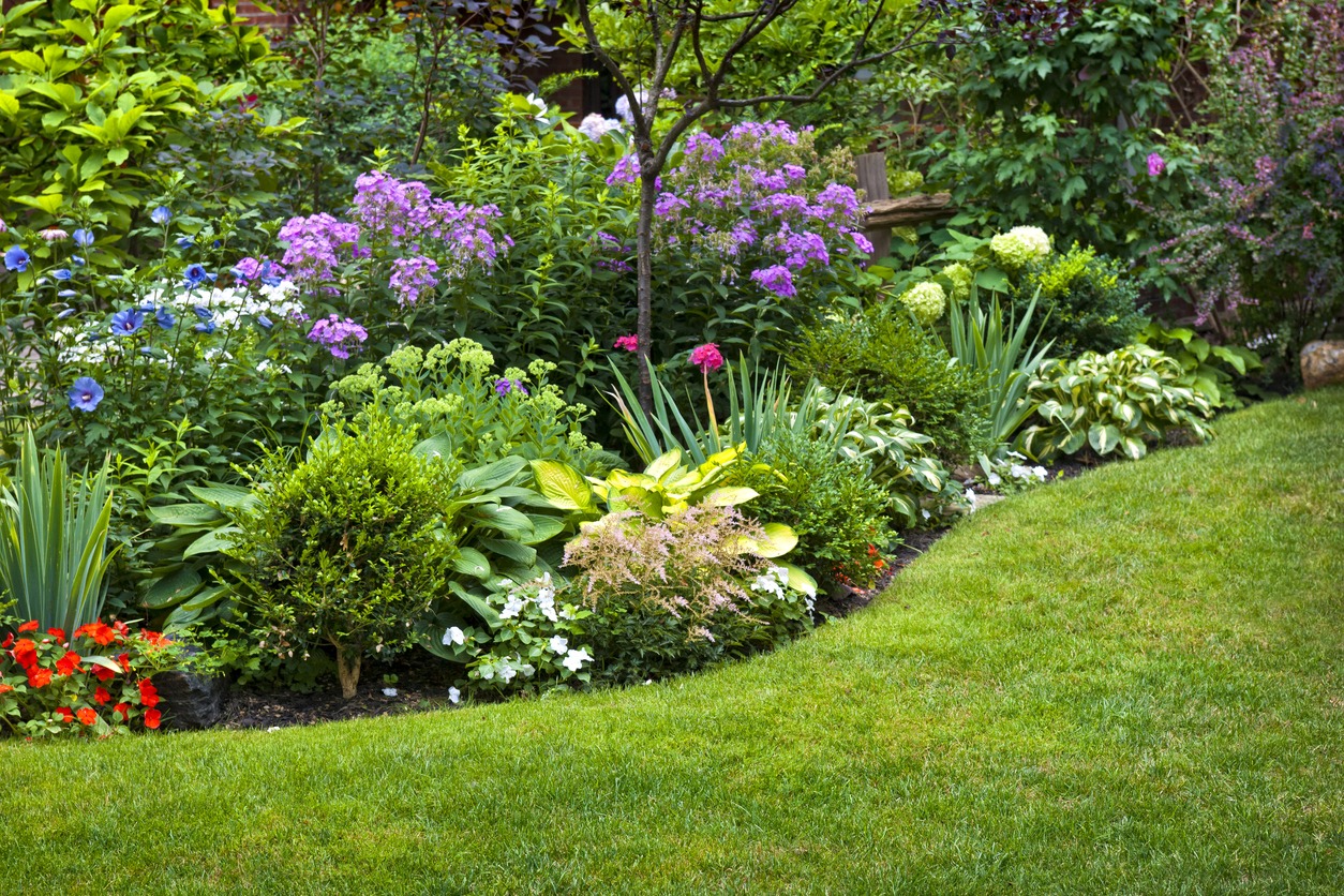 A vibrant garden with a variety of flowers and plants, neatly edged against a well-maintained green lawn, with no people in sight.